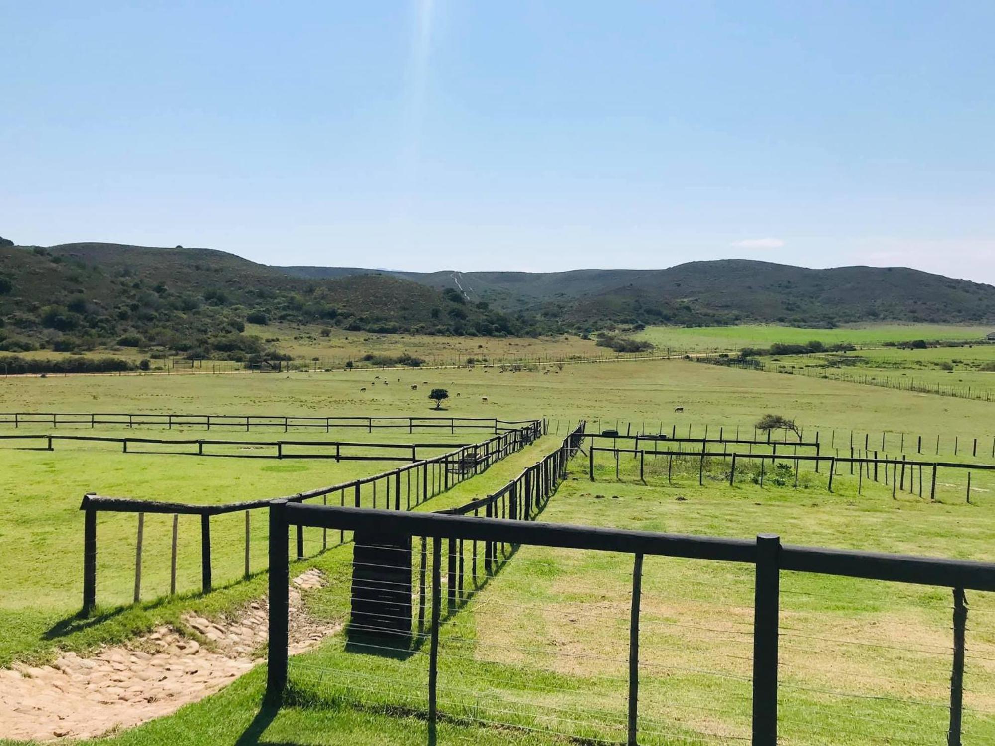Outeniquabosch Lodge Hartenbos Esterno foto