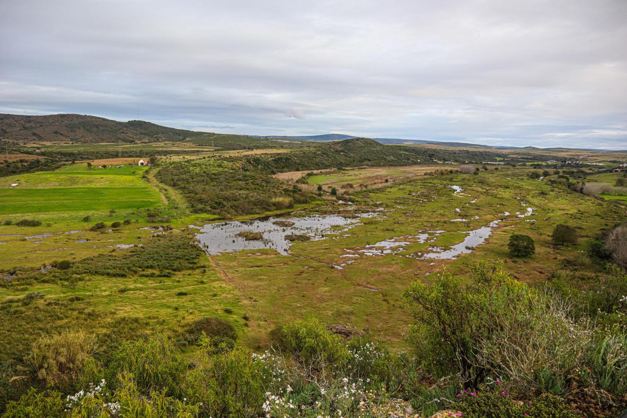Outeniquabosch Lodge Hartenbos Esterno foto