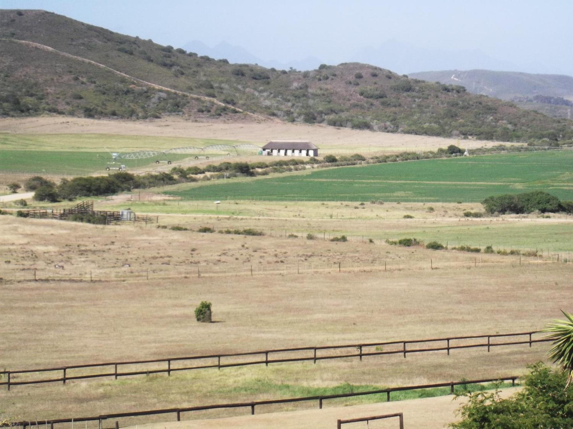 Outeniquabosch Lodge Hartenbos Esterno foto